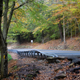 Illustration for article titled Fall Photos 2